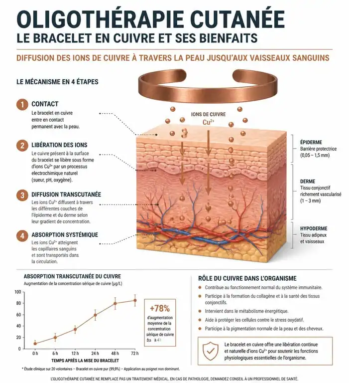 Infographie expliquant le fonctionnement et les bienfaits du bracelet cuivre sur la santé