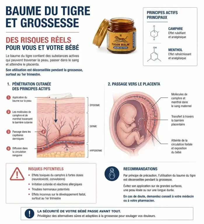 Infographie sur les risques du baume du tigre pour femme enceinte et le passage des actifs vers le fœtus