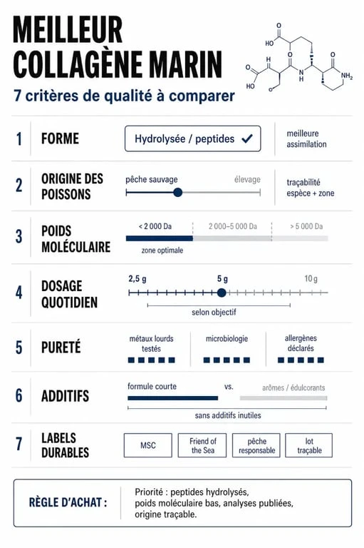 Infographie sur le meilleur collagene marin avec critères de qualité, dosage et labels