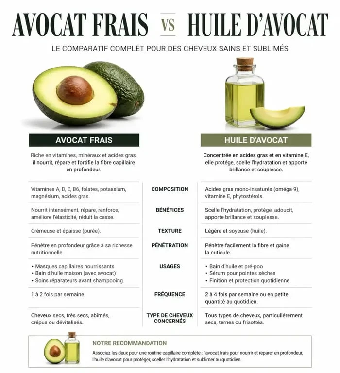 Comparatif avocat frais et huile d'avocat pour cheveux